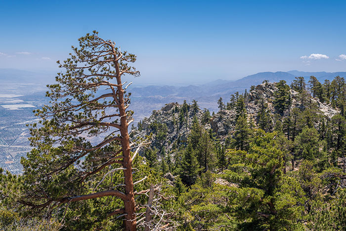 View from Long Valley at Mount San Jacinto State Park. Photo from California State Parks. View from Long Valley at Mount San Jacinto State Park. Photo from California State Parks.